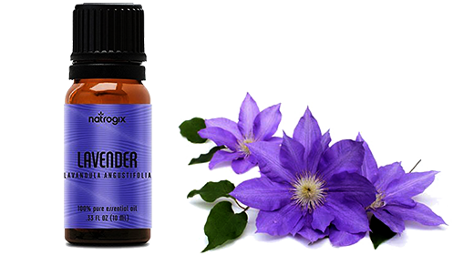 Lavender Essential Oil Gift