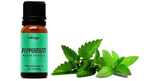 Peppermint Essential Oil