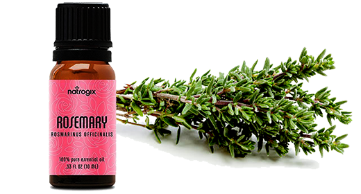 Rosemary Essential Oil Gift