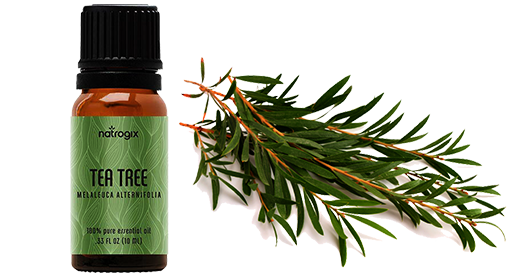 Tee Tree Essential Oil Gift